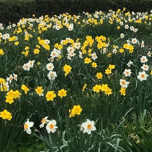 Meet your Posher, Claire